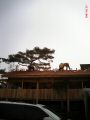 work way deck 000245.jpg